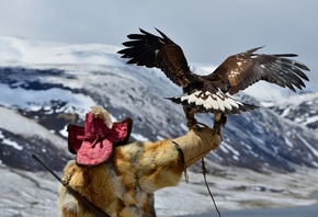 Mongolia, Altai, nomad, eagle hunter