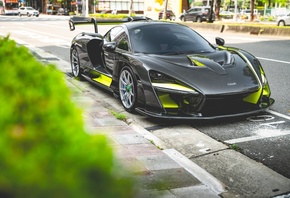 mclaren, senna