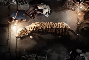 tiger, World Wildlife Fund, WWF Stop Extinction