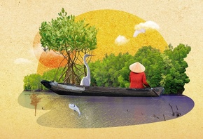 boatman, Mangrove Plants, Vietnam
