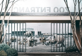 Zoo, Game Is Not Over, World Wide Fund for Nature, Creative WWF Ad