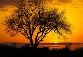 morning, Kenya, red sky