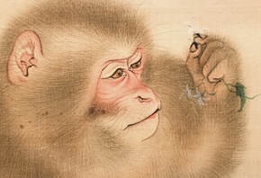 Mori Sosen, Japanese, Detail of Two Monkeys painted on silk hanging scroll