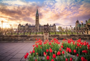 Parliament Hill, Ottawa, Peace Tower, Canada