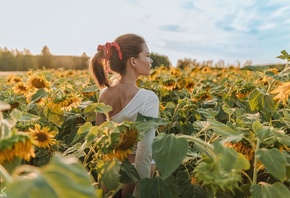 Sergey Freyer, model, women, brunette, women outdoors, white panties, ass, panties, hips, rear view, sunflowers, nature, sky, clouds