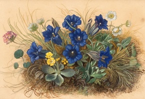 Emil Ernst Heinsdorff, German, 1942, Mountain flowers with gentian, winterl ...
