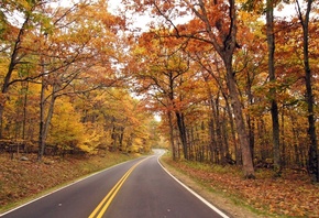 Autumn, Skyland Drive, Shenandoah National Park, Virginia