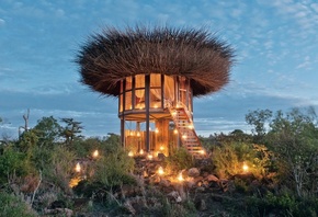 Bird Nest, luxury destination, wild adventure, safari, Kenya