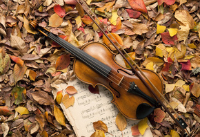 leaves, music, autumn, violin