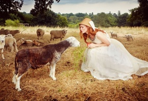 Sylvia Flote, countryside estate, sheep
