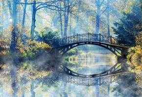 Autumn, Bridge, Forest, Nature