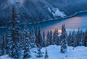 Peyto Lake, Banff National Park, Canada