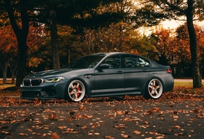 BMW, BMW M5, M5 CS, Autumn, M5 F90, F90, M5