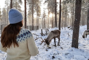 Sami reindeer farmers, Inari, Arctic regions, Finland