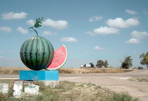 Kherson region, Ukraine, watermelon