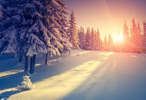 Sunset, Carpathian National Nature Park, Ukraine, Snow Forest