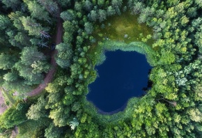 �����, ���, � ������