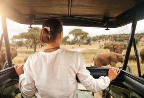 elephants, Exklusive Safari, African Travel, Arusha National Park, Tanzania