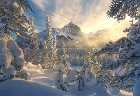 зима, Канада, ліс, ялинки, гори, сніг, кучугури, ранок, світанок, туман