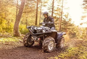 Yamaha, utility all-terrain vehicle, Yamaha Grizzly 700 25th Anniversary