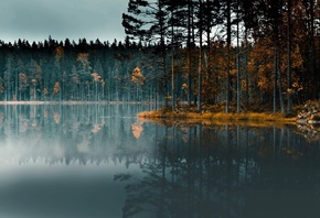 Lake In Forest, Skinnskatteberg, Sweden