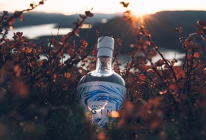 nature, Arctic Blue Gin, Finland