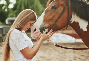 horse, happy woman, cuddling