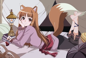 spice and wolf, anime, Holo, brown hair
