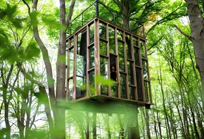 tree house, glass cabin, minimalist architecture, luxurious sanctuary, Belg ...