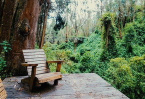 Tropical Andes, Mindo, Ecuador