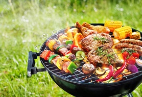 flame grilled foods, most delicious fish meat vegetable and dessert dishes for the barbecue, festive barbecues
