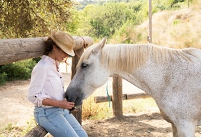 Catalan Horses, Barcelona, Spain