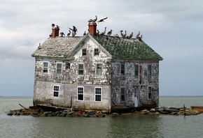 Abandoned Place, Holland Island, Chesapeake Bay