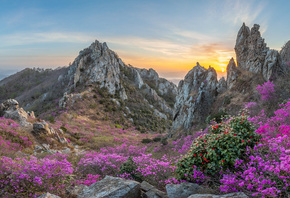 природа, весна, Корея, Південна Корея, фото, Jaeyoun Ryu, гори, скелі, схід сонця, цвітіння
