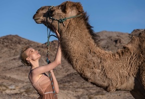 northern Mojave, Nevada, Desert Fashion Circus