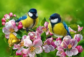 цветы, птицы, весна, цветущая ветка, синицы, art, flowers, birds, spring, flowering branch, tits