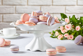 , , , , , , , , , , dessert, Macaron, food, delicious, cup, table, bouquet, roses, flowers, wall