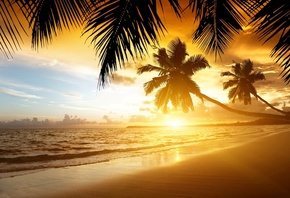 nature, beautiful, sunset, palm trees, summer, shore, sea, tropics, beach