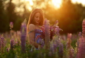 women, model, brunette, women outdoors, nature, field, summer dress, plants ...