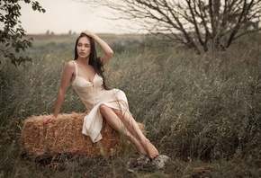 brunette, women, women outdoors, model, nature, grass, white dress, field,  ...