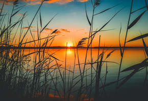 �������, �����