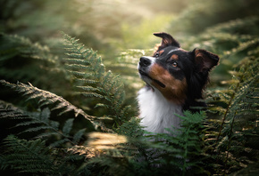 , , -, , , Iza Lyson