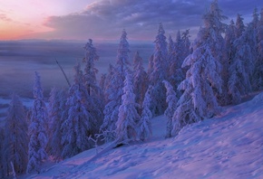 склон, деревья, снег, владимир рябков