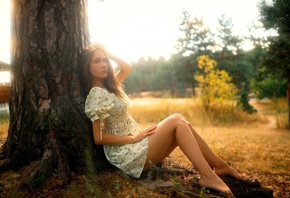 summer dress, field, nature, trees, grass, , brunette, model, women, ...