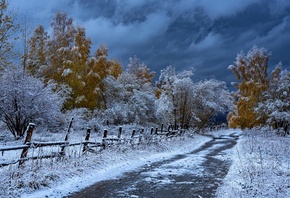 дорога, деревья, снег, казахстан, евгений дроботенко