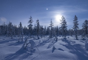 Cold Moon, Pyha-Luosto National Park, Lapland, Finland