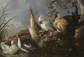 Melchior dHondecoeter, Dutch Art, A Menagerie of Exotic Birds in a Landscap ...