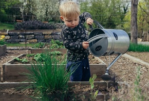 nature, garden, kids