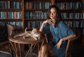 brunette, bookstore, , model, blue dress, women indoors, books, cat, ...