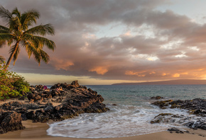 Praia, Sol, Mar, Coqueiro, Paisagem, Natureza